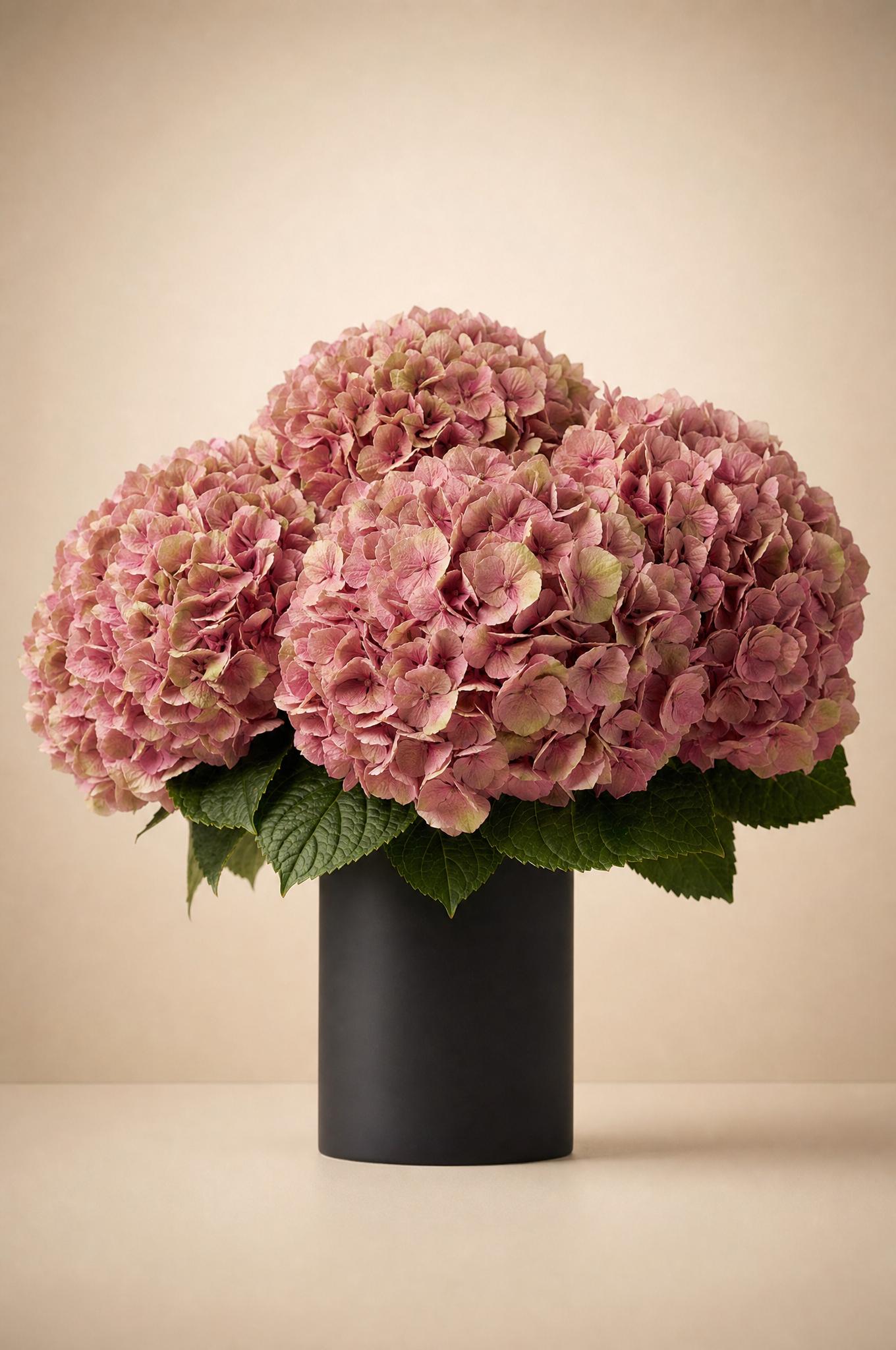 Antique dusty-pink hydrangea mophead bouquet in a matte charcoal cylinder vase