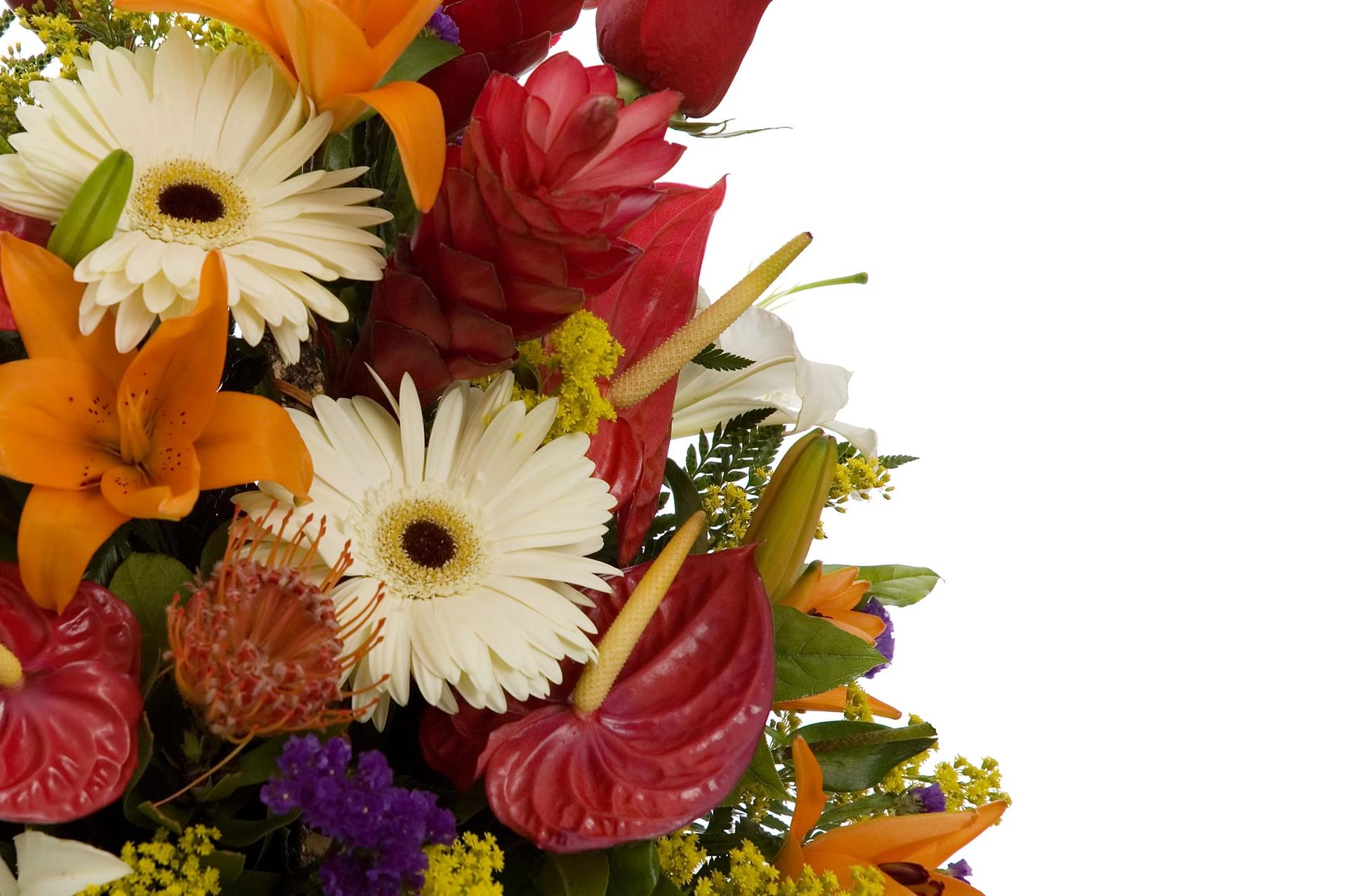 A colourful arrangement of mixed seasonal flowers