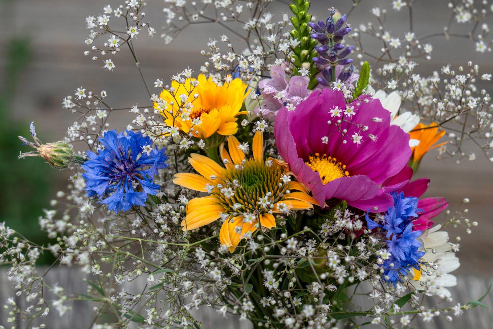 Vibrant colourful summer wildflower bouquet