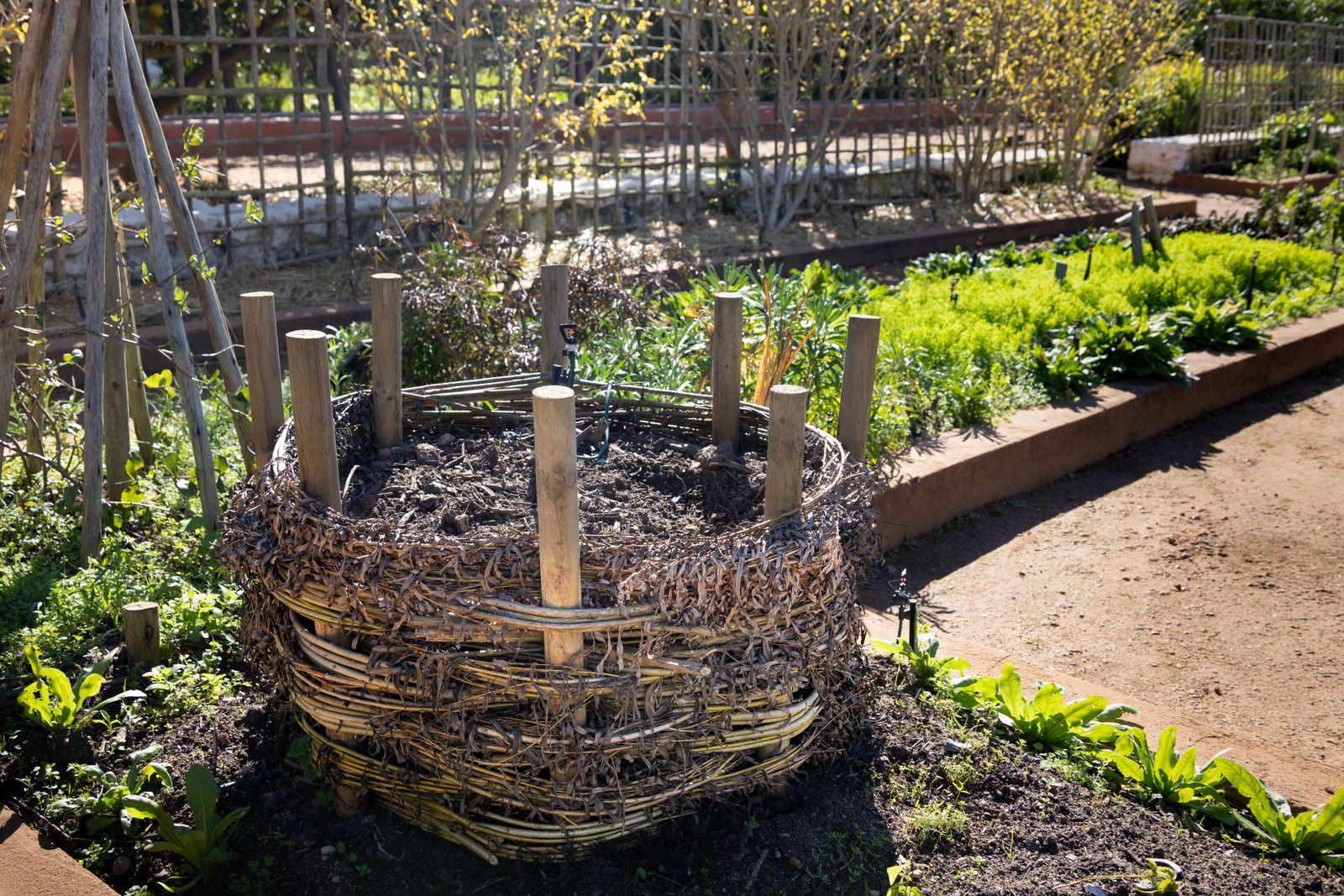 A backyard compost pile beside a spring garden