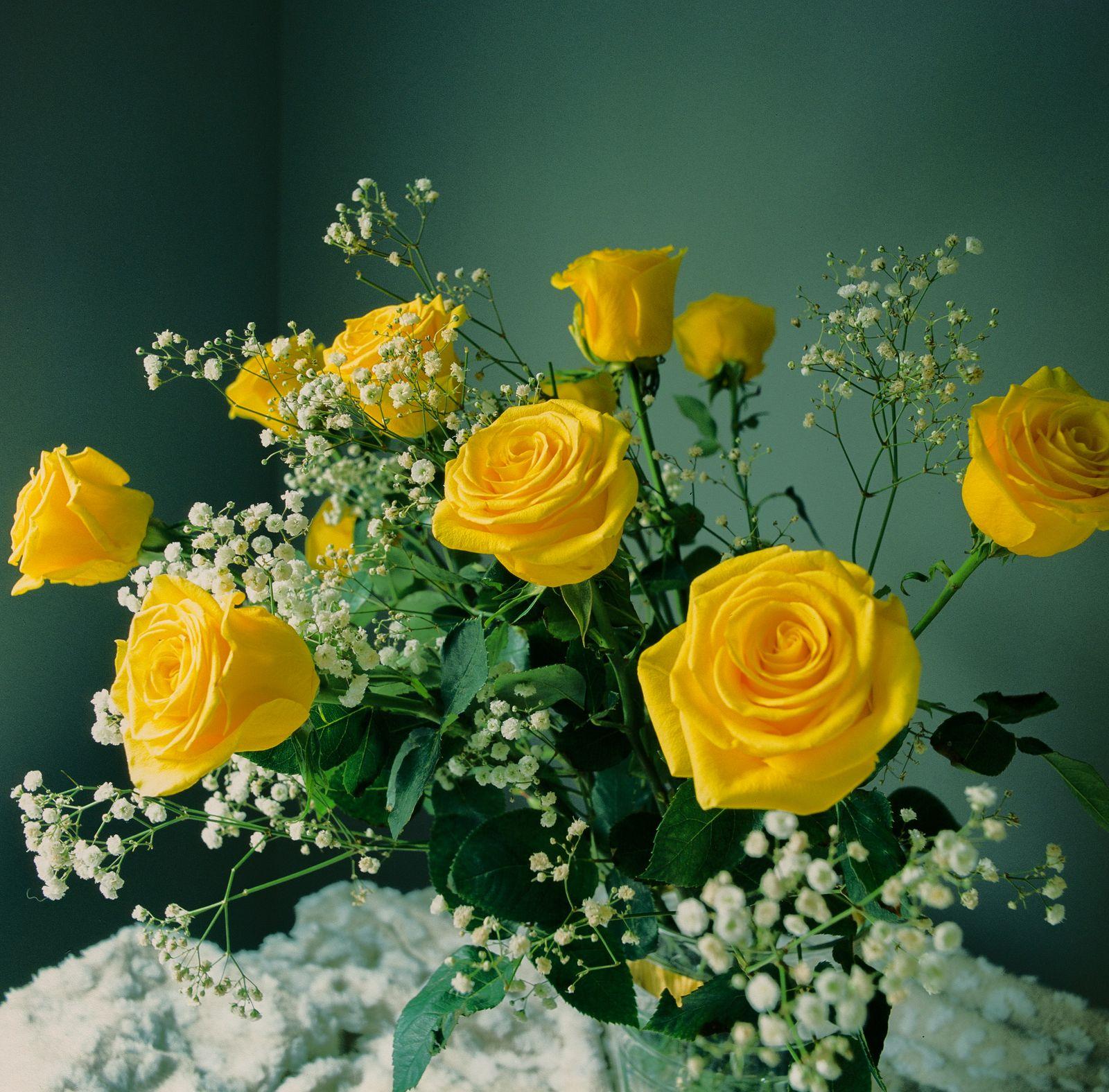 A bouquet of yellow roses with baby's breath