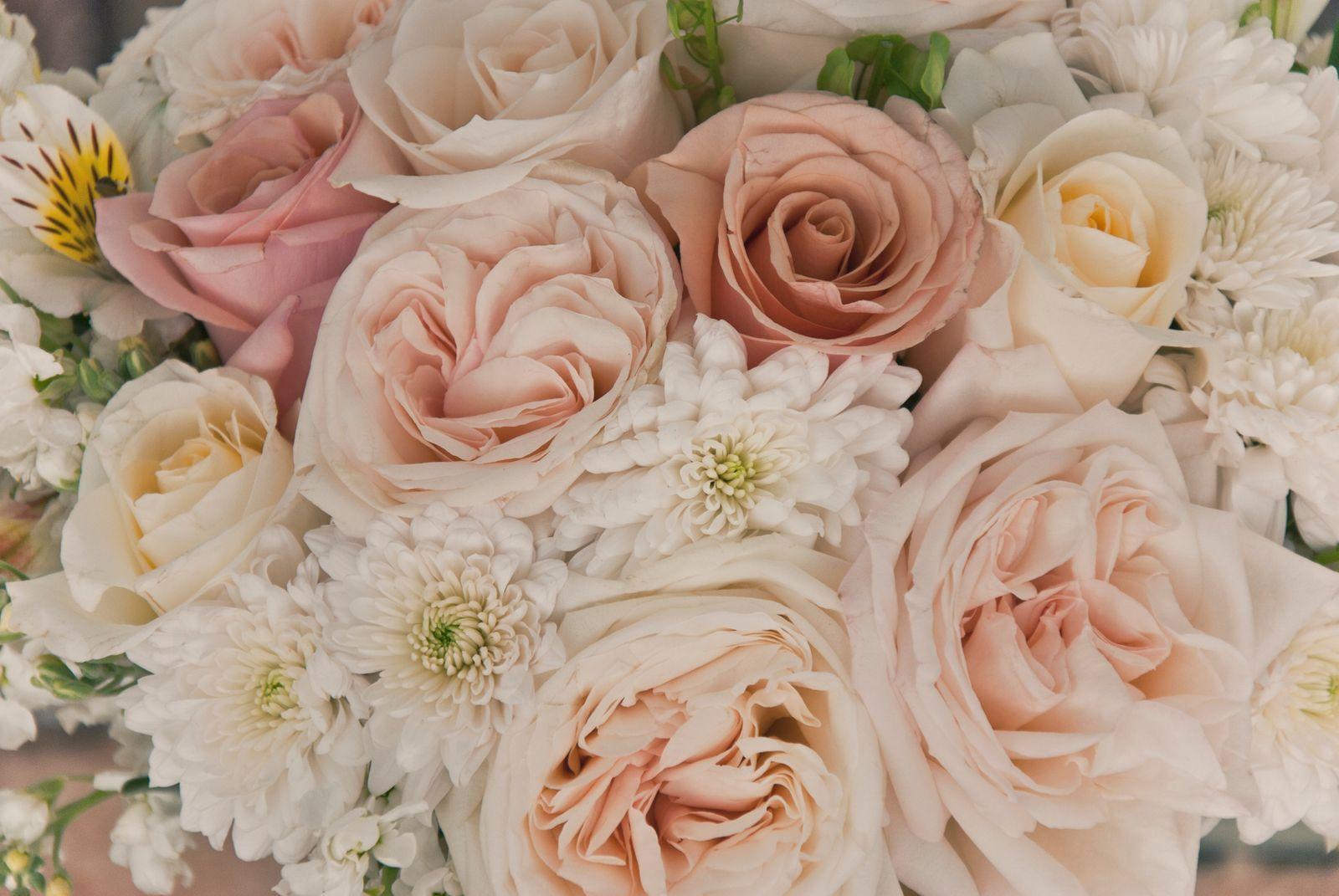 Close-up of blush pink and cream roses with white chrysanthemums