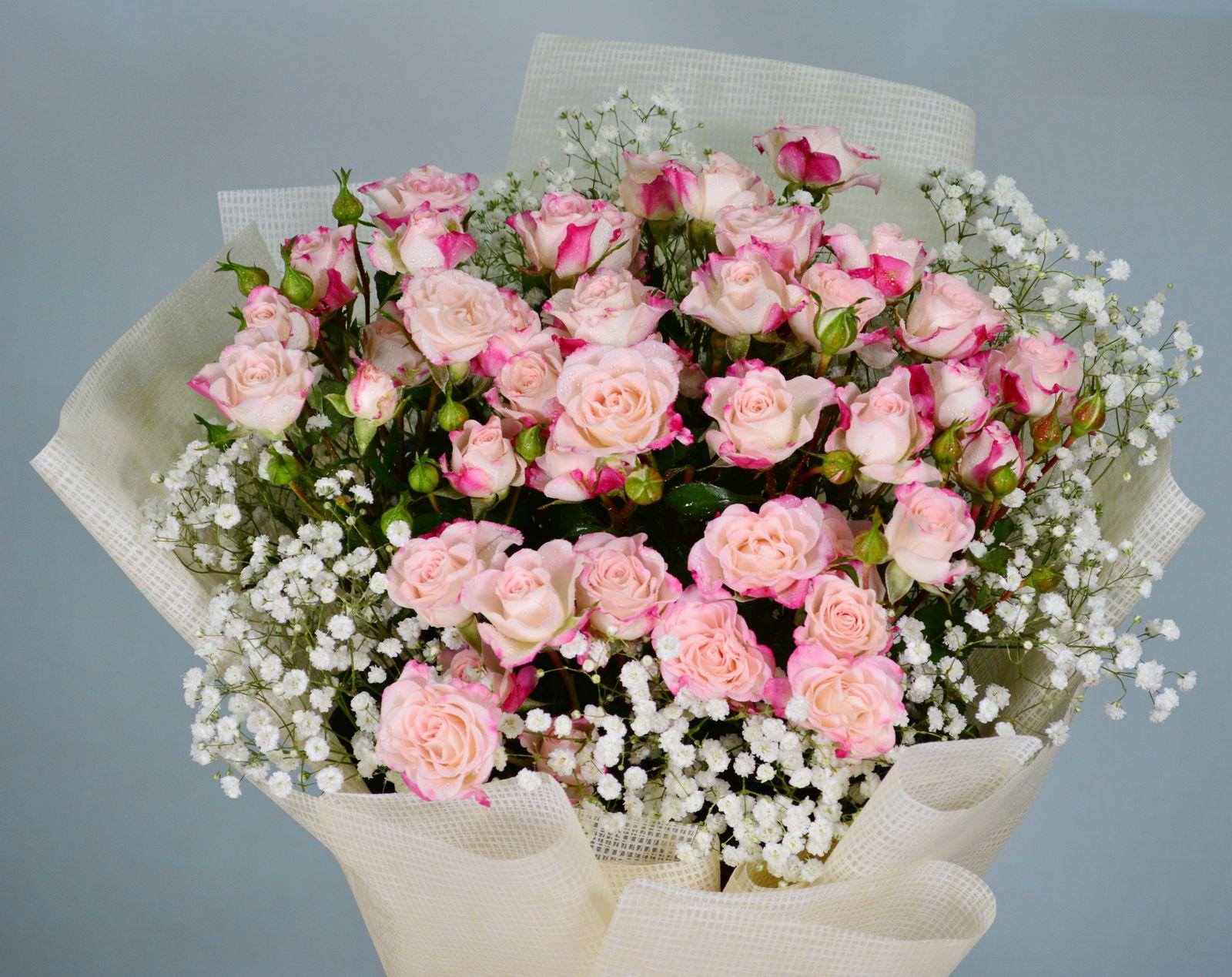 Soft pink spray roses with white baby's breath
