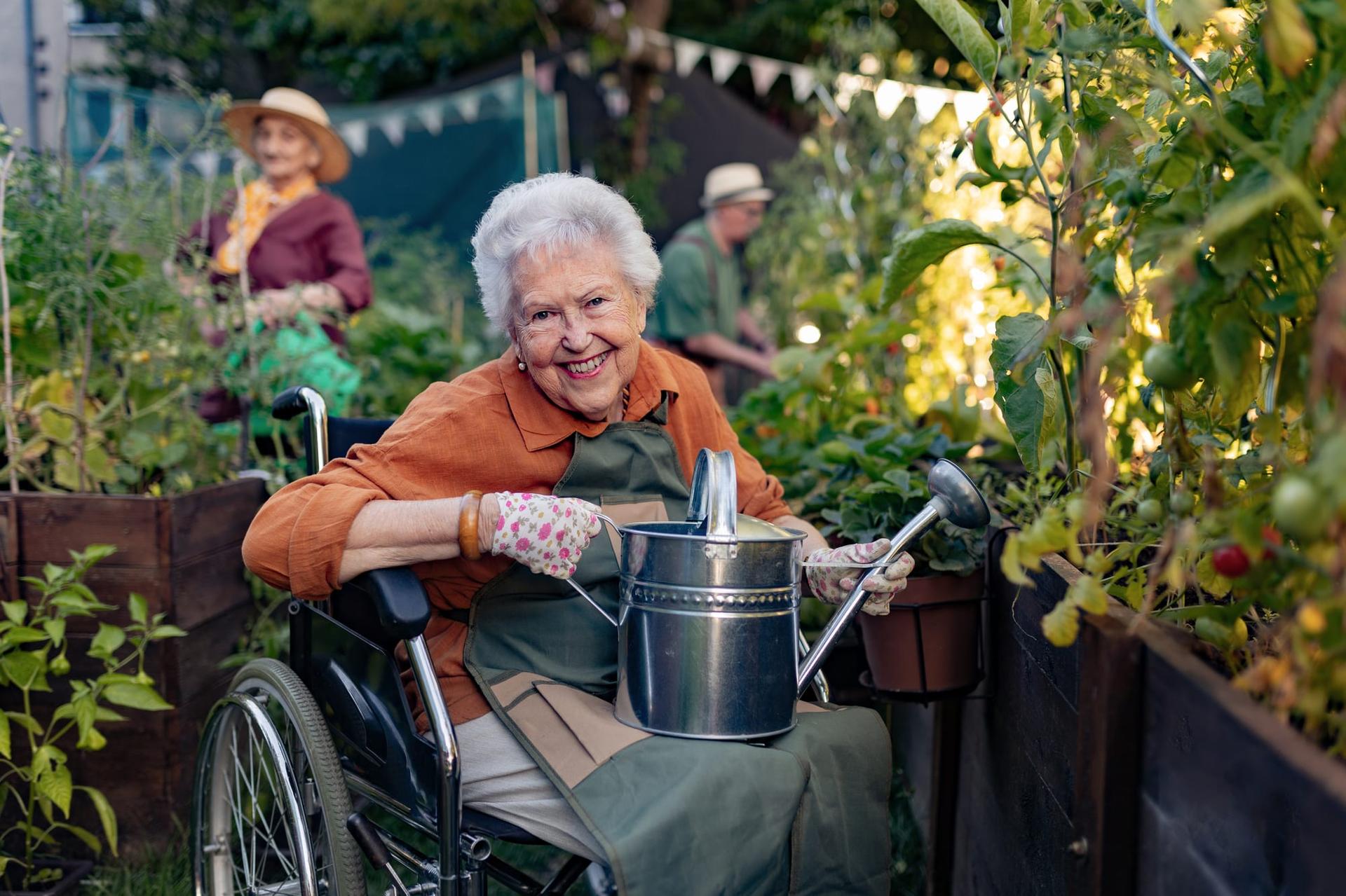 An older woman in a wheelchair holding a watering can among raised garden beds