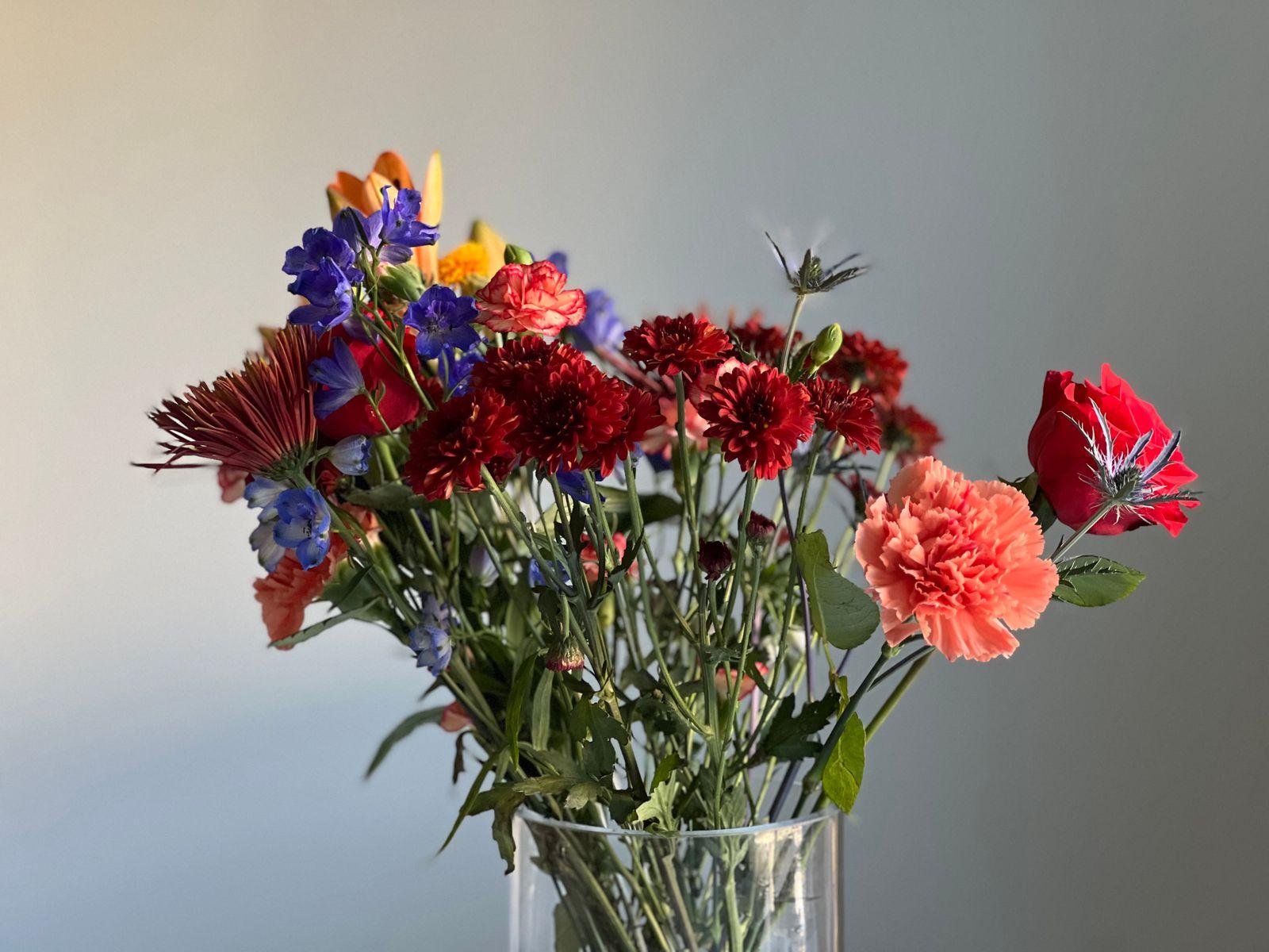 Mixed bouquet in a clear glass vase with red chrysanthemums, coral carnations and blue delphinium