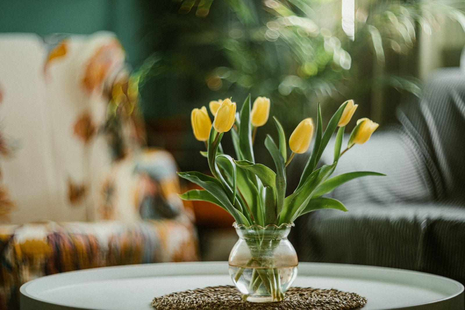 Yellow tulips in a clear glass vase on a living-room side table