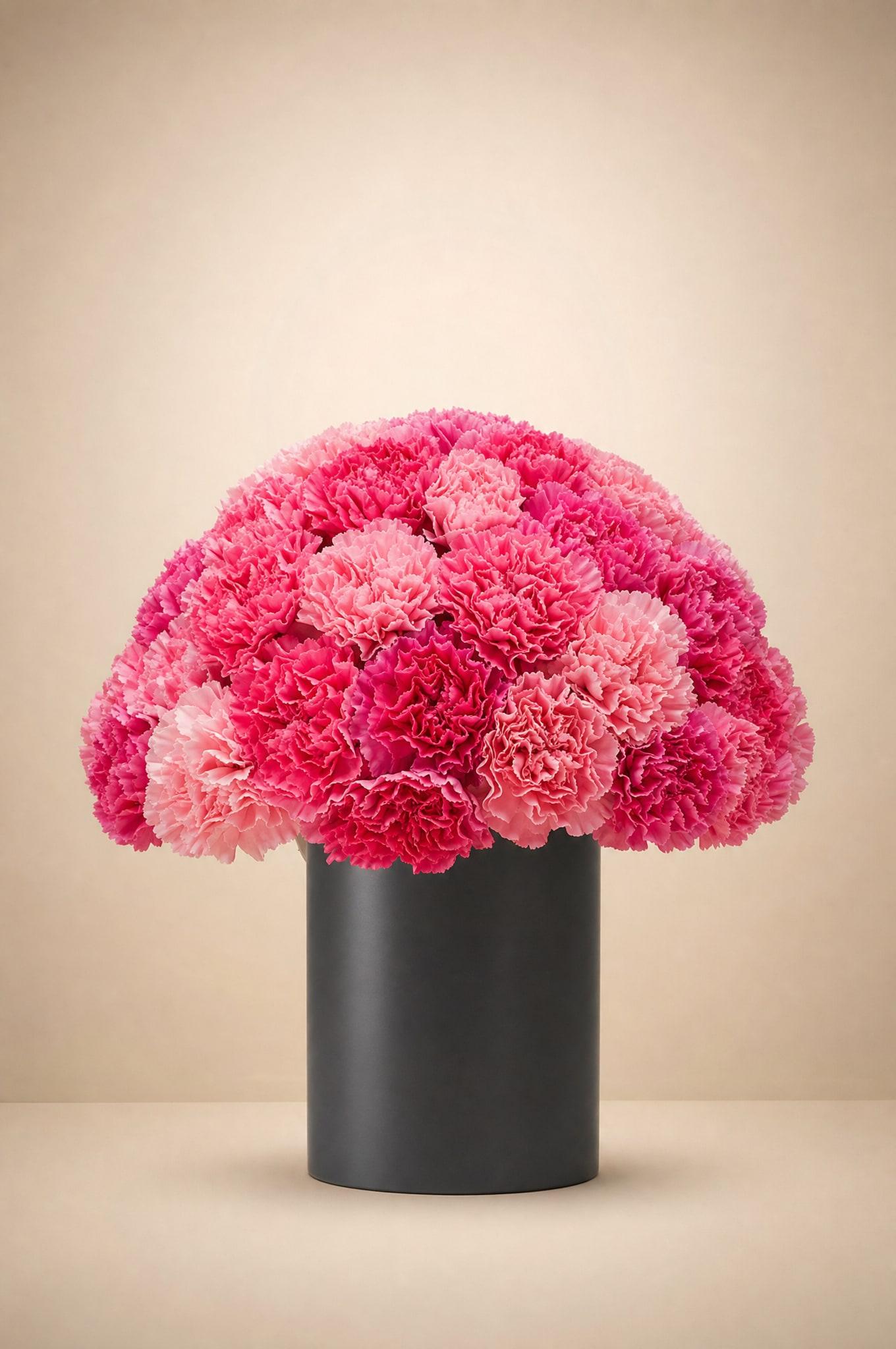 Pink carnations from pale rose to fuchsia massed into a ruffled dome in a black vase