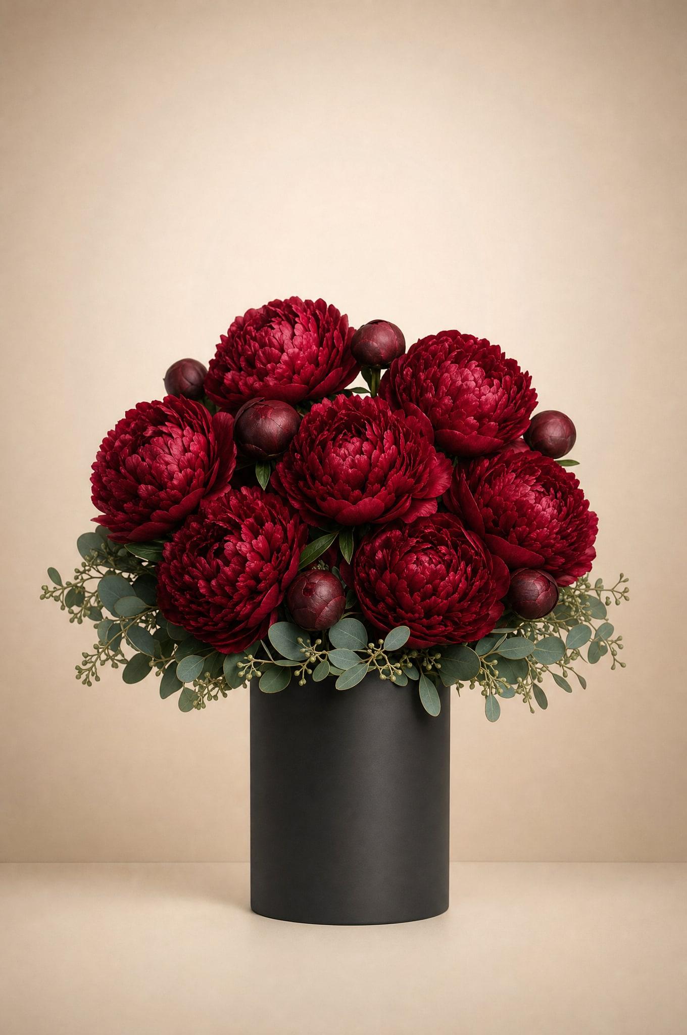 Deep ruby-red peonies with unopened buds and seeded eucalyptus in a matte black cylinder vase