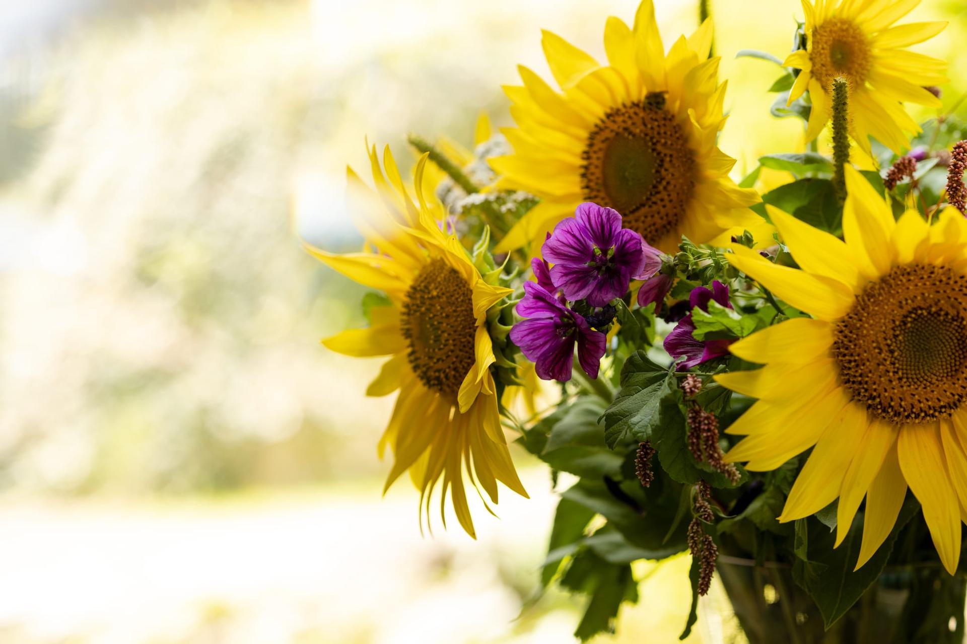 A summer bouquet of sunflowers and wildflowers