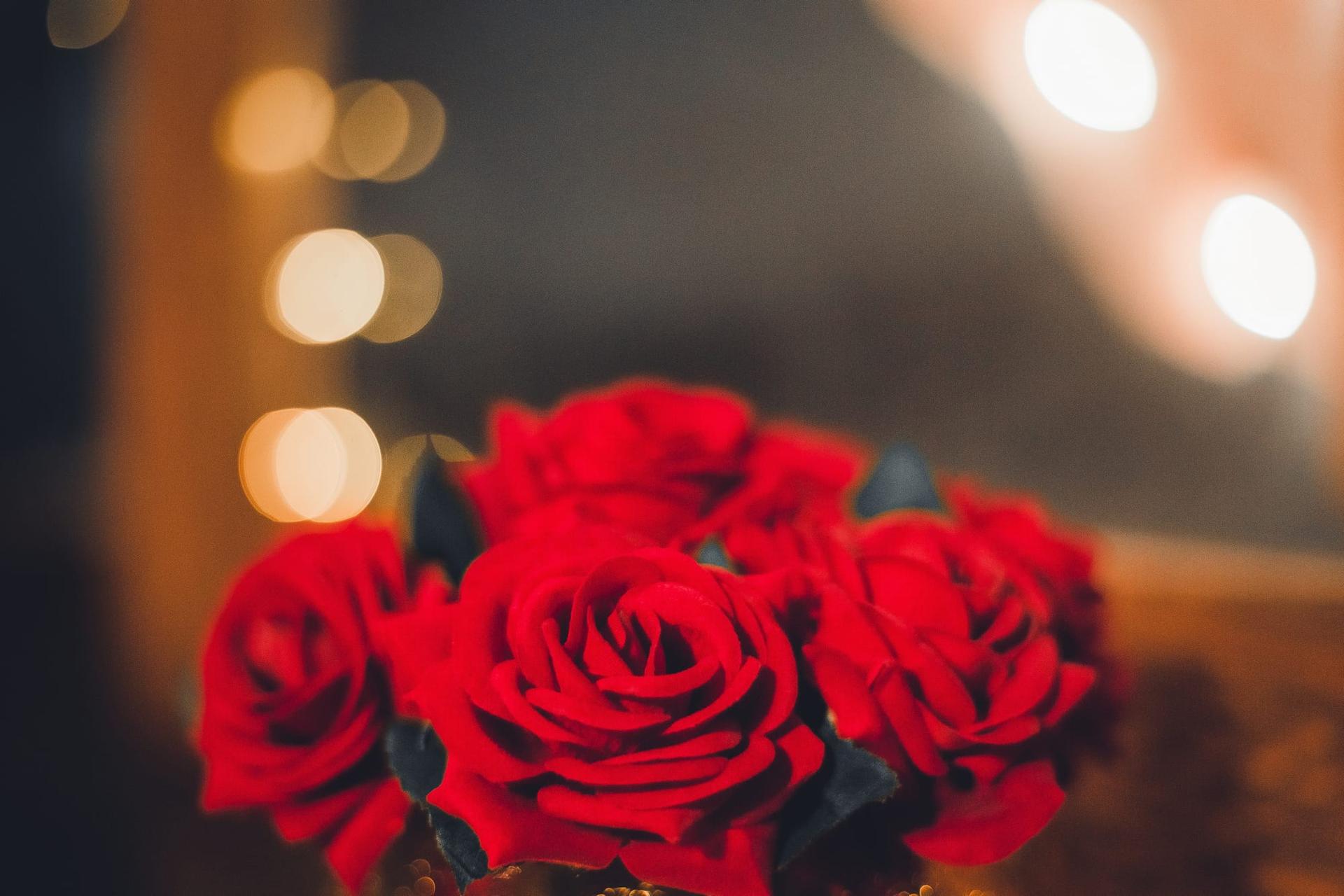 A romantic bouquet of red roses