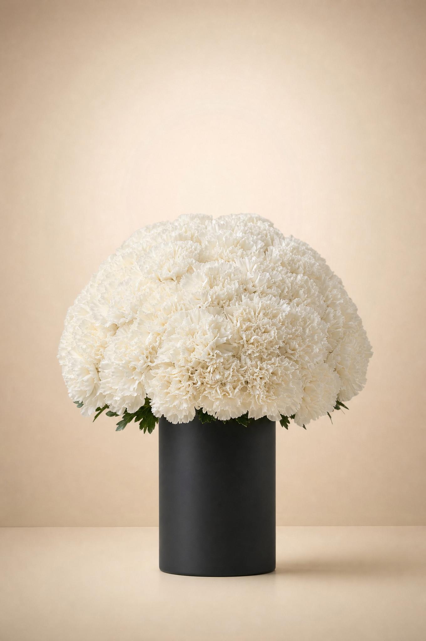 Dense dome of pure white carnations in a matte charcoal cylinder vase